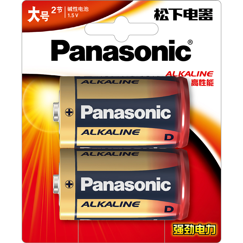 Panasonic Alkaline D Size 2 Pieces Carded Pack